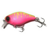 Dragon fruit mat tiger