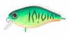 Cranky-X 50 EG-165 GC01S