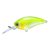 GSCB
