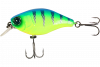 blue back tiger