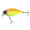 Tropical mat tiger