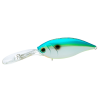 CSH
