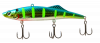 Kuda 099