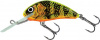 GFP