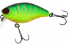 matt tiger