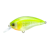 GSCB