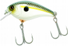 ss shad