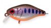 Cranky-X 50 EG-165 A142-264