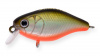 Cranky-X 50 EG-165 612T