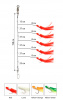 Снасточка морская AkaraKujira Octopus System SP004 H5 №5 0 Red