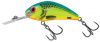 Rattlin F 04.5 CB