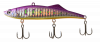 Kuda 008