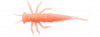 F05